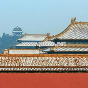 传奇SF神兽升级是否会受到其他玩家的竞争？