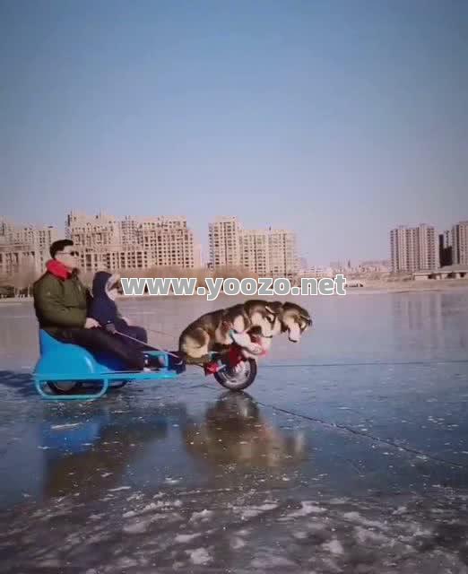 在游戏里要发挥自己的强项
