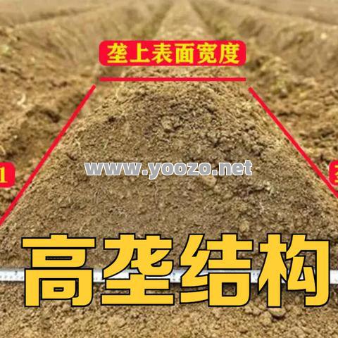 在网络上学习各种技巧需要注意什么