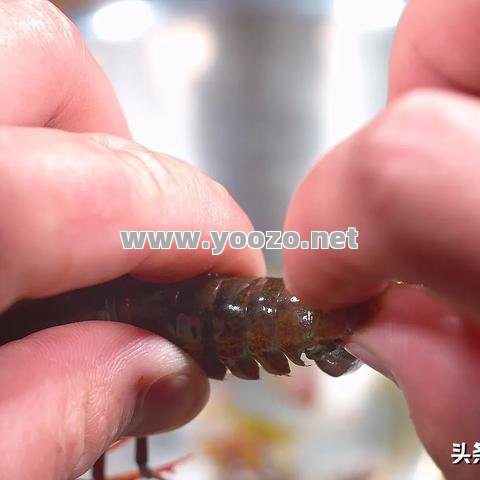 如何才能够学到更多的技巧