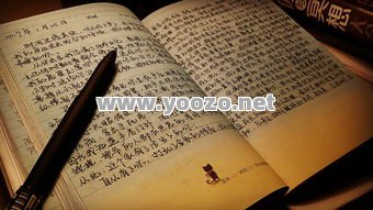 拥有好的游戏你的人生不会再孤独