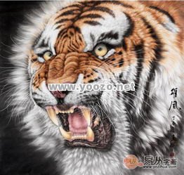 虎王不同材料喂养的时机是什么