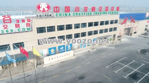 依托专业平台实时获取新服动态