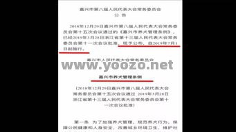 正规的传奇也会有它的规则制度