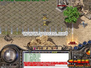 单职业发布网页sf传奇有哪些活动?