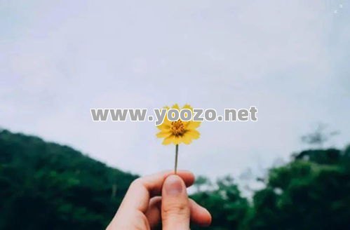 传奇私服轻变回坑以后散人时第一张图该选哪里 传奇私服轻变回坑以后散人时第一张图该选哪里
